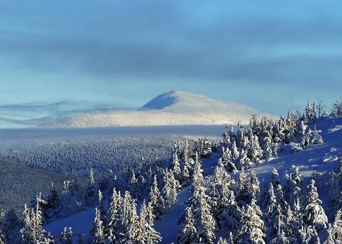 - Full House! Дом отдыха *