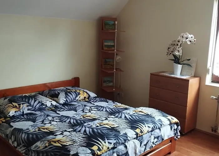 - Full House! Дом отдыха